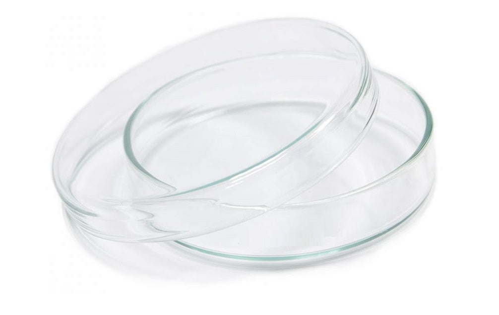 Glass Petri Dishes