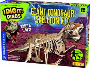 I Dig It! Dinos - Giant Dinosaur Skeleton Kit | img_1 | Foxx Life Sciences Global | shopfls.com