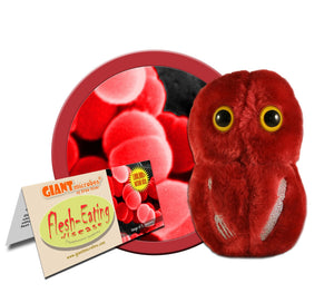 Flesh-Eating Disease (Streptococcus pyogenes) - GIANTmicrobes® Plush Toy | img_1 | Foxx Life Sciences Global | shopfls.com