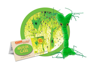 Nerve Cell (Neuron) - GIANTmicrobes® Plush Toy | img_1 | Foxx Life Sciences Global | shopfls.com