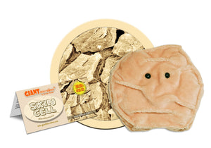 Skin Cell (Keratinocyte) - GIANTmicrobes® Plush Toy | img_1 | Foxx Life Sciences Global | shopfls.com