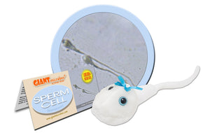 Sperm Cell (Spermatozoon) - GIANTmicrobes® Plush Toy | img_1 | Foxx Life Sciences Global | shopfls.com