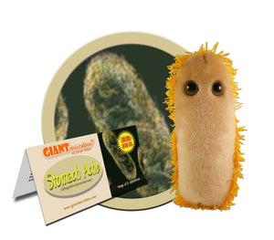 Stomach Ache (Shigella dysenteriae) - GIANTmicrobes® Plush Toy | img_1 | Foxx Life Sciences Global | shopfls.com