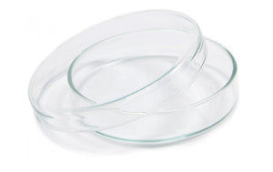Borosil® Glass Petri Dishes with Covers, 80mm x 17mm (OD x H), CS/100 | img_1 | Foxx Life Sciences Global | shopfls.com
