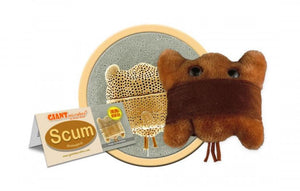 Scum (Biddulphia) - GIANTmicrobes® Plush Toy | img_1 | Foxx Life Sciences Global | shopfls.com